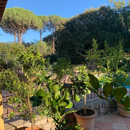 Sous Les Pins Parasols Vidauban Exterior foto