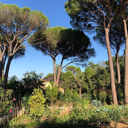 Sous Les Pins Parasols Vidauban Exterior foto