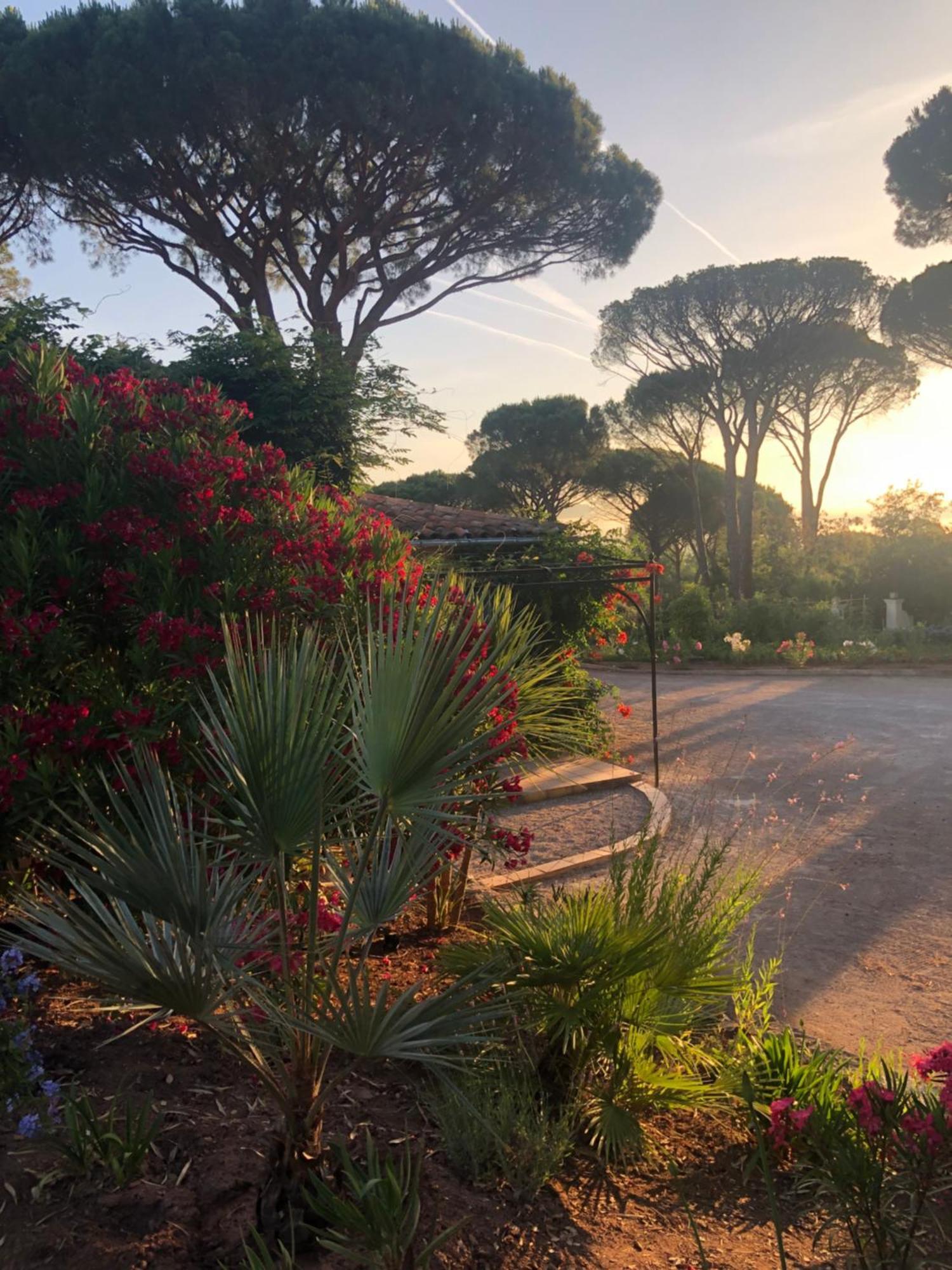 Sous Les Pins Parasols Vidauban Exterior foto