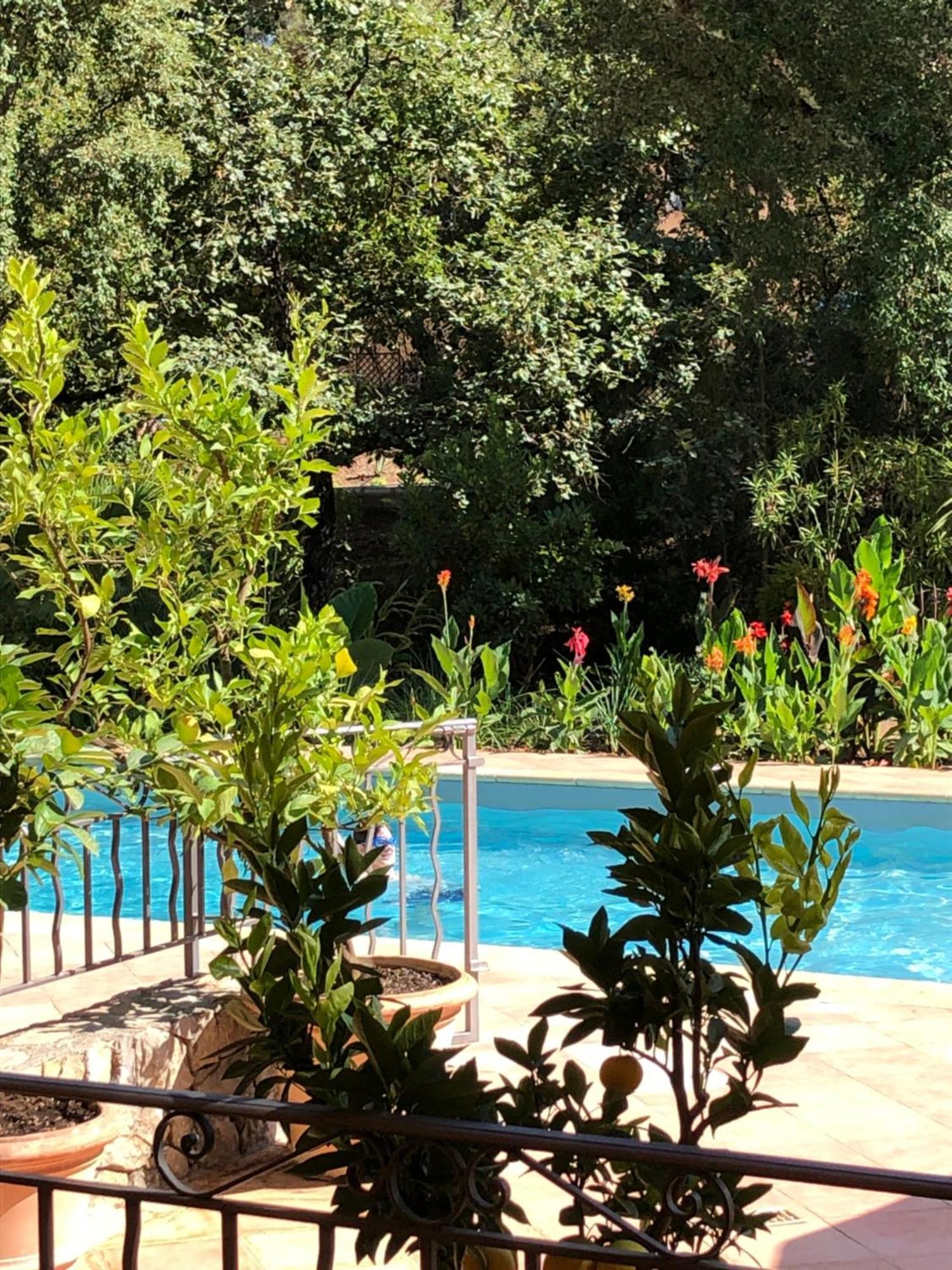 Sous Les Pins Parasols Vidauban Exterior foto