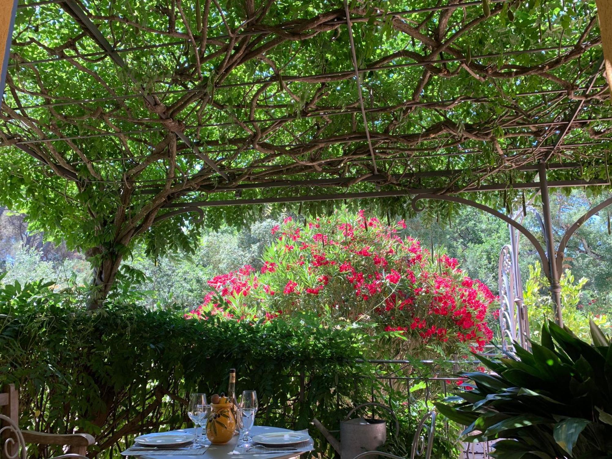 Sous Les Pins Parasols Vidauban Exterior foto