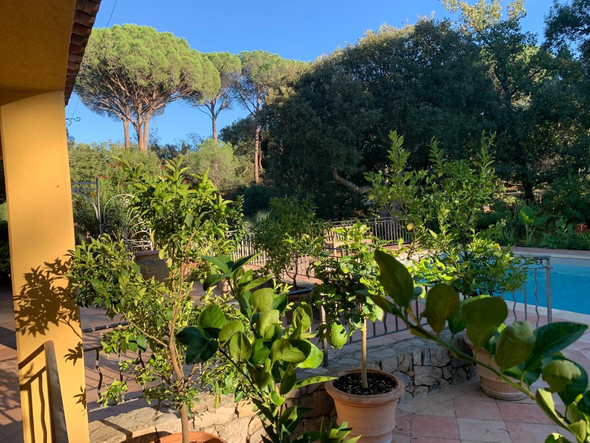 Sous Les Pins Parasols Vidauban Exterior foto