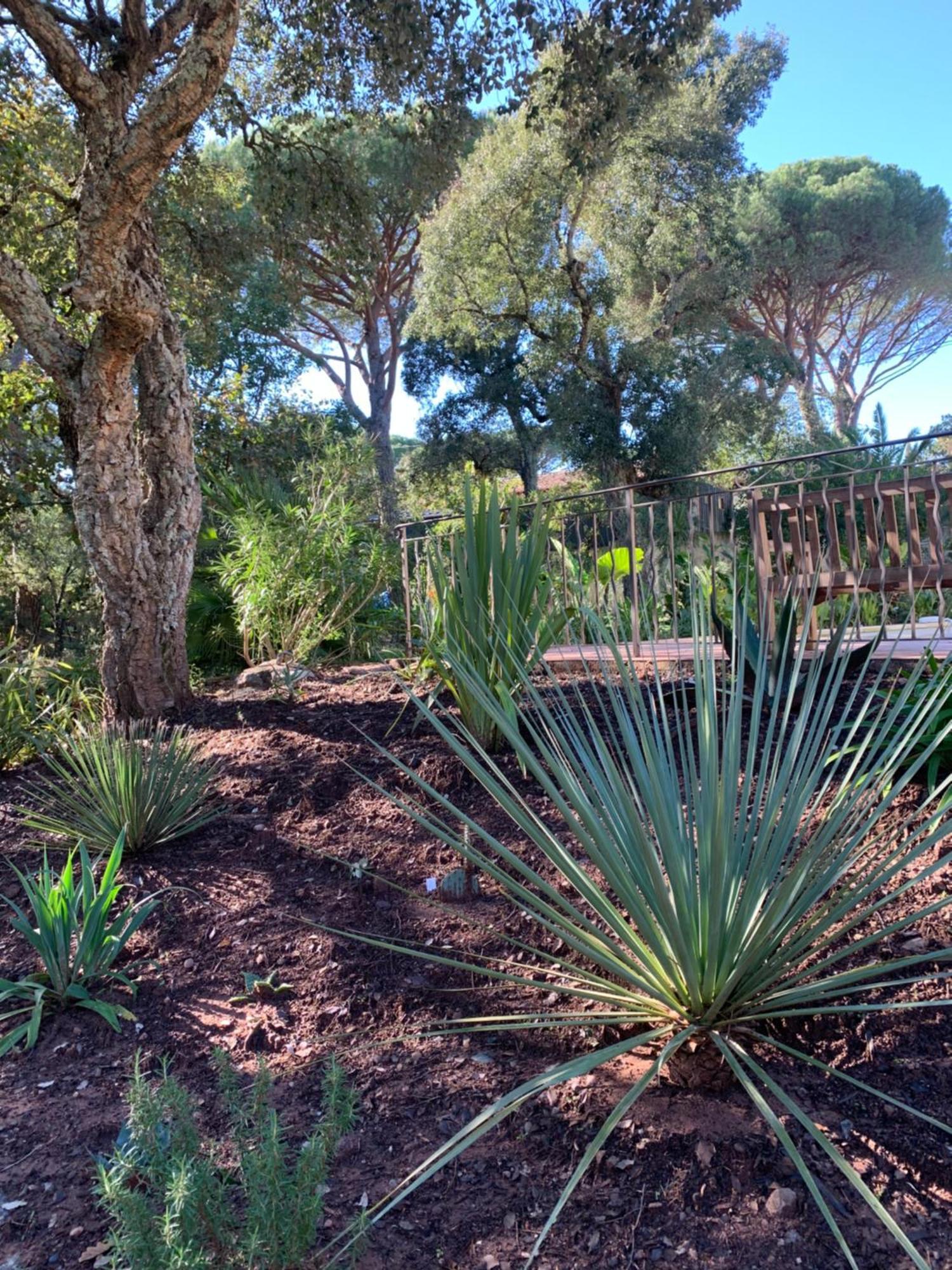 Sous Les Pins Parasols Vidauban Exterior foto